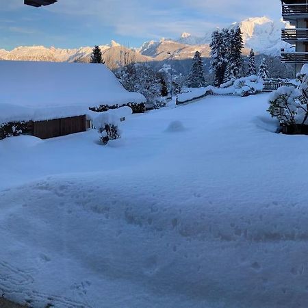 Apartamento La Marmotte: Vue Mont Blanc, Terrasse, Parking Combloux Exterior foto